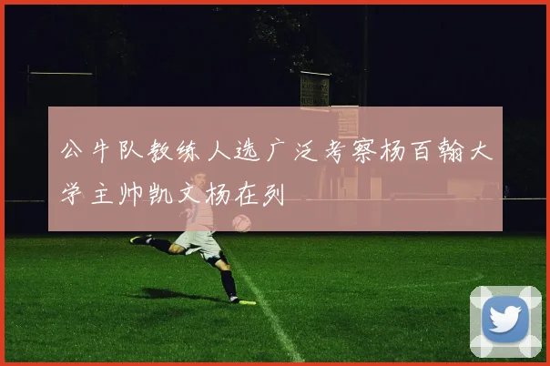 公牛队教练人选广泛考察杨百翰大学主帅凯文杨在列