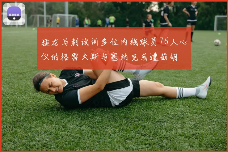 猛龙马刺试训多位内线球员76人心仪的格雷夫斯与塞纳克或遭截胡