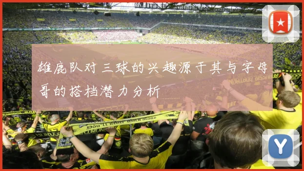 雄鹿队对三球的兴趣源于其与字母哥的搭档潜力分析